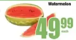 Boxer Watermelon offer