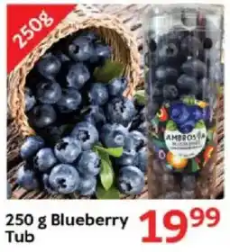 Oxford Freshmarket Blueberry Tub offer