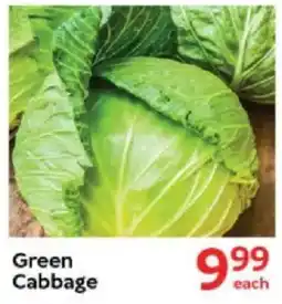 Oxford Freshmarket Green Cabbage offer