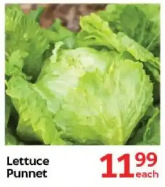 Oxford Freshmarket Lettuce Punnet offer