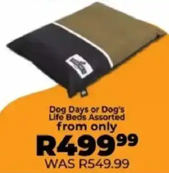 Food Lover's Market Dog Days or Dog's Life Beds Assorted offer