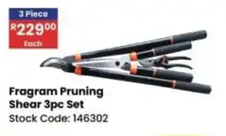 Africa Cash and Carry Fragram Pruning Shear Set offer