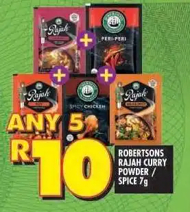 Shoprite ROBERTSONS RAJAH CURRY POWDER / SPICE 7g offer