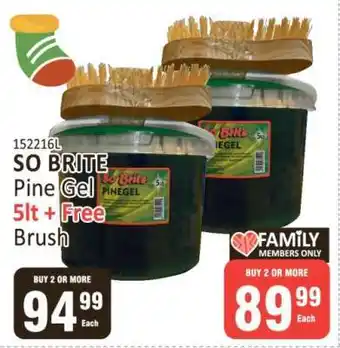 KitKat Cash and Carry SO BRITE Pine Gel 5lt + Free Brush offer
