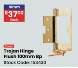 Africa Cash and Carry Trojan Hinge Flush offer