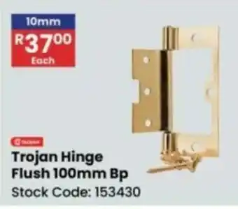 Africa Cash and Carry Trojan Hinge Flush offer