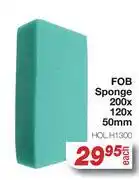 AutoZone FOB Sponge 200x120x50mm offer