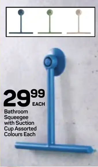 Pick n Pay Hypermarket DAY Bathroom Squeegee with Suction Cup Assorted Colours Each offer