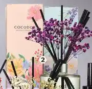 Dis-Chem Cocodor Diffuser With Reed Sticks Assorted-120ml Each offer