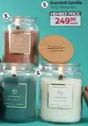 Dis-Chem Scented Candle Assorted-510g Each offer