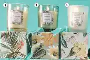 Dis-Chem Scented Candle Assorted-200g Each offer