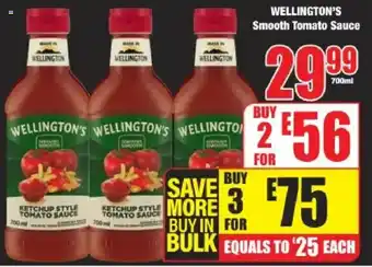 Boxer WELLINGTON'S Smooth Tomato Sauce offer