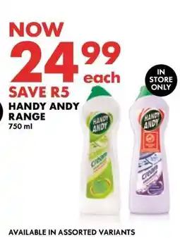 Woolworths Handy Andy Range offer