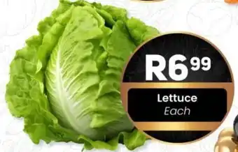 Take 'n Pay Lettuce offer