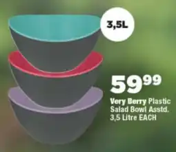OK Foods Very Berry Plastic Salad Bowl Asstd. offer