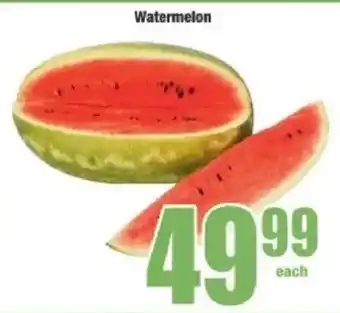 Boxer Watermelon offer