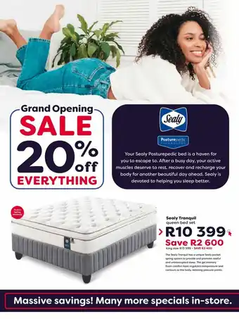 The Bed Store Sealy Tranquil Queen Bed Set offer