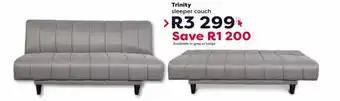 Trinity Sleeper Couch