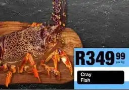 Take 'n Pay Cray Fish offer