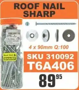 Cashbuild Roof nail sharp offer