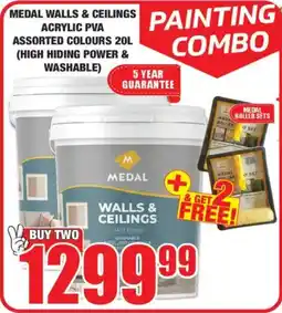 Boxer Build Painting Combo offer