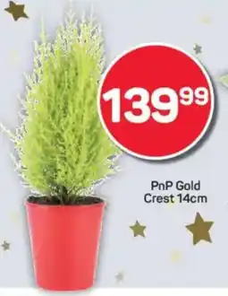 Pick n Pay PnP Gold Crest offer