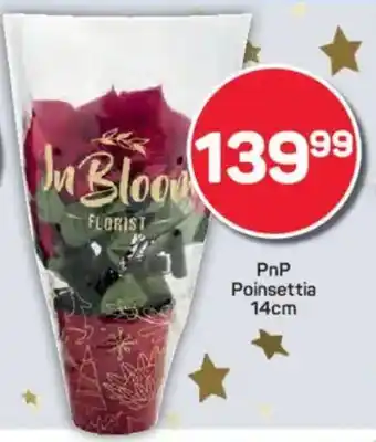 Pick n Pay PnP Poinsettia offer