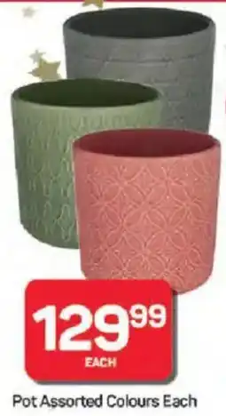Pick n Pay Hypermarket Pot Assorted Colours offer