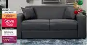 Bradlows Colesburg 2 Seater Couch 10304034001 offer
