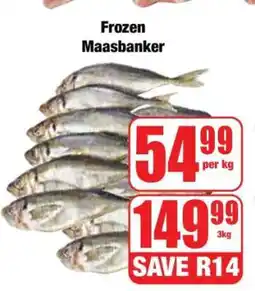 Boxer Frozen Maasbanker offer