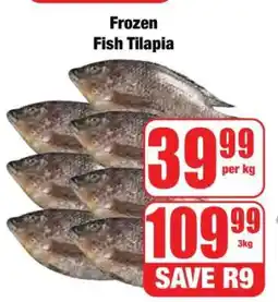 Boxer Frozen Fish Tilapia offer