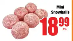 Boxer Mini Snowballs offer