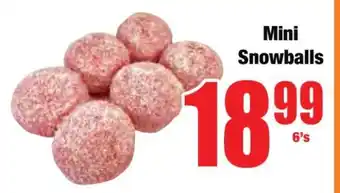 Boxer Mini Snowballs offer