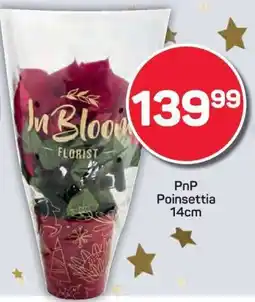 Pick n Pay PnP Poinsettia 14cm offer
