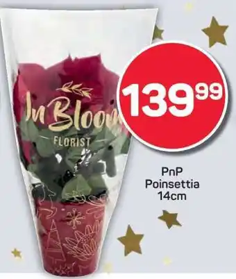 Pick n Pay PnP Poinsettia 14cm offer