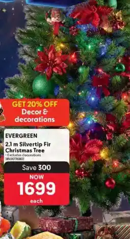 Makro Evergreen Silvertip Fir Christmas Tree offer