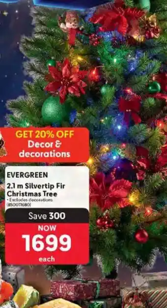 Makro Evergreen Silvertip Fir Christmas Tree offer