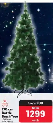 Makro Bottle Brush Tree offer