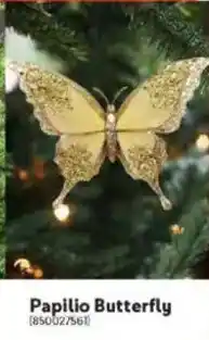 Makro Papilio Butterfly offer