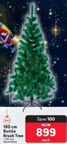 Makro Bottle Brush Tree offer