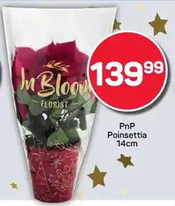 Pick n Pay Hypermarket PnP Poinsettia offer