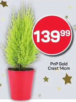 Pick n Pay Hypermarket PnP Gold Crest offer