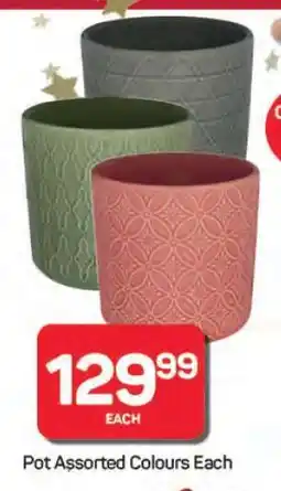 Pick n Pay Hypermarket Pot Assorted Colours Each offer