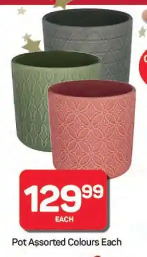 Pick n Pay Hypermarket Pot Assorted Colours Each offer
