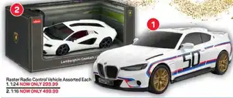 Pick n Pay Hypermarket Raster Radio Control Vehicle Assorted Each 1:24 offer