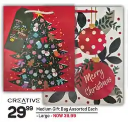 Pick n Pay Medium Gift Bag Assorted Each offer