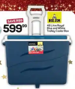 Pick n Pay Hypermarket 48 Litre Royal Blue and White Trolley Cooler Box offer