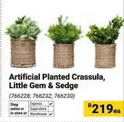 Builders Warehouse Artificial Planted Crassula Little Gem & Sedge 766228, 766232, 766230-Each offer