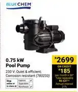 Blue Chem 0.75kW Pool Pump 780233
