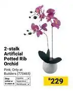 Builders Warehouse 2-Stalk Artificial Potted Rib Orchid 775465 offer